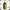 Barba Forte Danger Shampoo Bomba 250ml