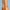Beyoung Stick Multifuncional Com Cor Fps 80 14g SB